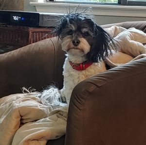 Meet your Posher, Donna